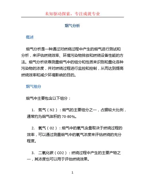 烟气分析 (2)