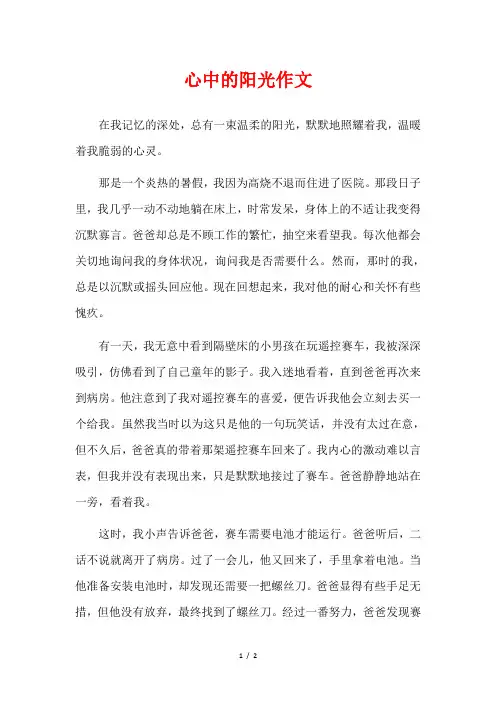 心中的阳光作文