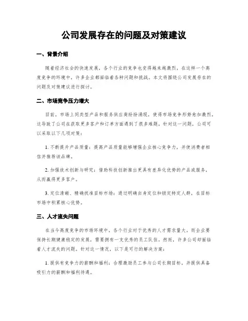 公司发展存在的问题及对策建议