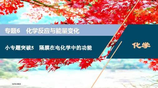 高考化学一轮复习 专题6 化学反应与能量变化 5 小专题突破5 隔膜在电化学中的功能课件 