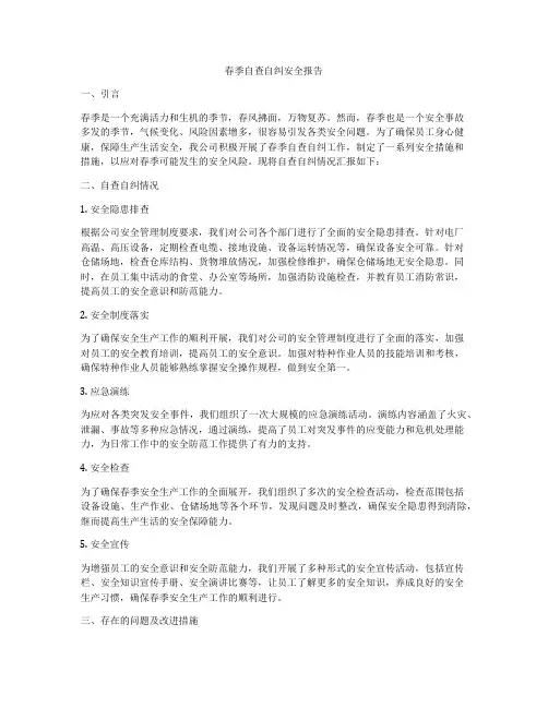 春季自查自纠安全报告