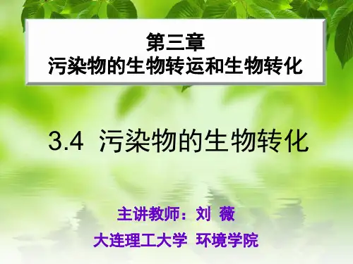 05 第三章 环境污染物的生物转运和生物转化-生物转化