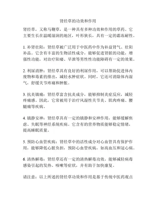 肾经草的功效和作用