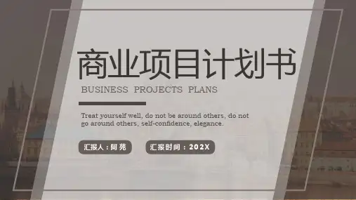 简约商业项目计划书动态模板