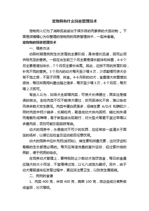 宠物狗有什么饲养管理技术