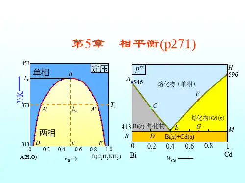 物理化学上课件：05 相平衡