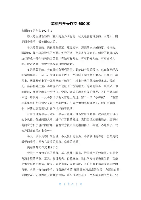 美丽的冬天作文600字