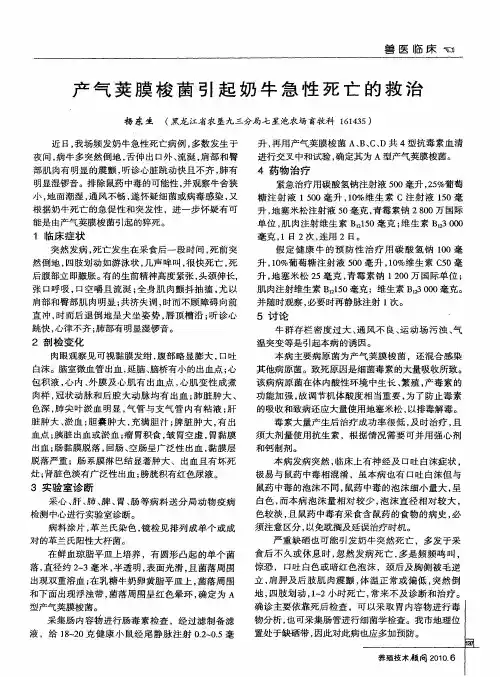 产气荚膜梭菌引起奶牛急性死亡的救治