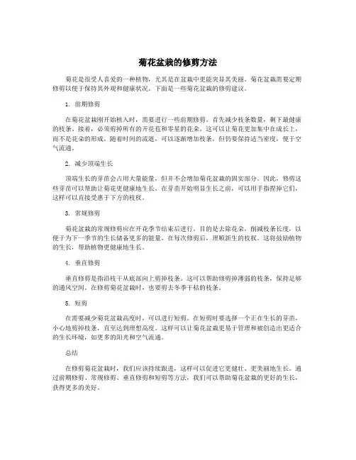菊花盆栽的修剪方法