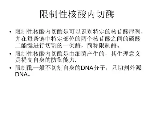 限制性核酸内切酶.