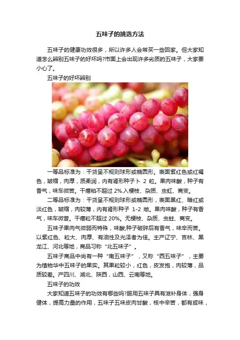 五味子的挑选方法