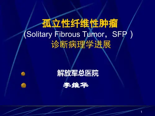 孤立性纤维性肿瘤诊断病理学进展