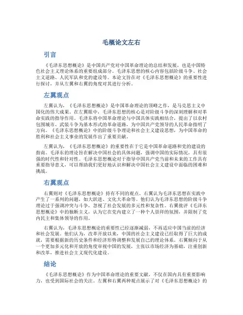 毛概论文左右