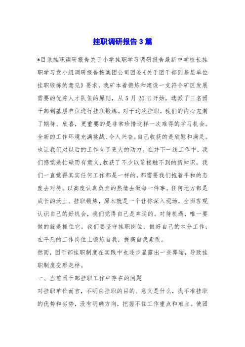 挂职调研报告3篇