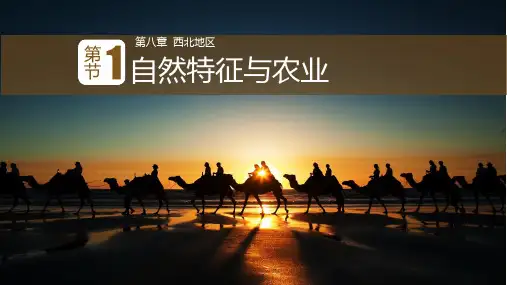 西北地区自然特征与农业-ppt课件