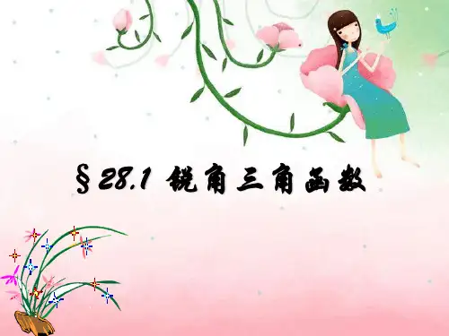 锐角三角函数ppt1