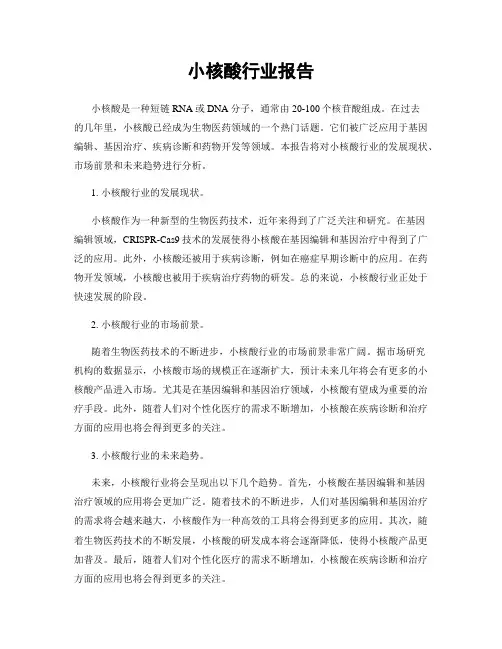 小核酸行业报告