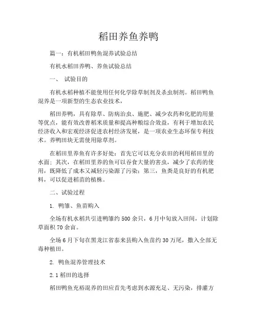 稻田养鱼养鸭