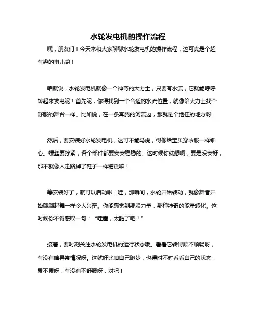 水轮发电机的操作流程