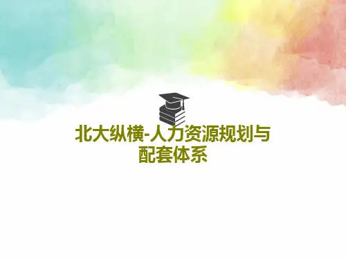 北大纵横-人力资源规划与配套体系74页PPT