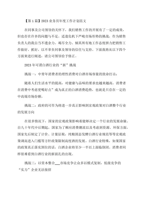 业务员年度工作计划(6篇范文)