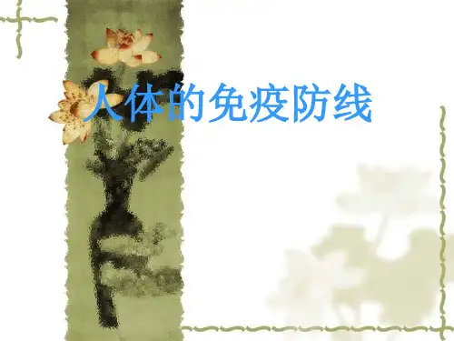 《人体的免疫防线》ppt