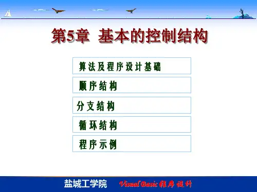 VB程序的设计VB基本语句-精选文档