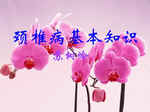 颈椎病基本知识ppt课件