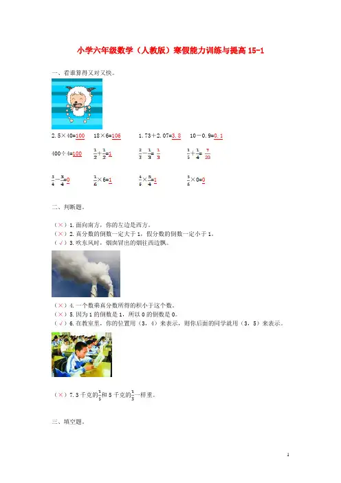 六年级数学寒假能力训练与提高151 人教版