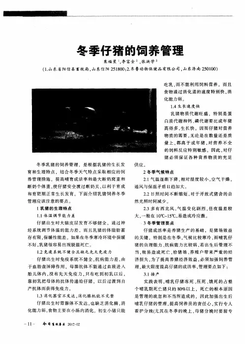 冬季仔猪的饲养管理