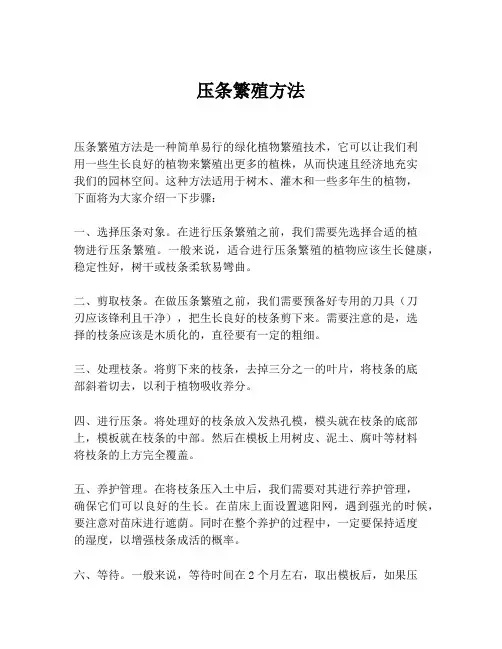 压条繁殖方法