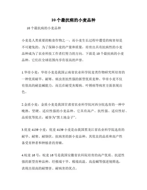 10个最抗病的小麦品种