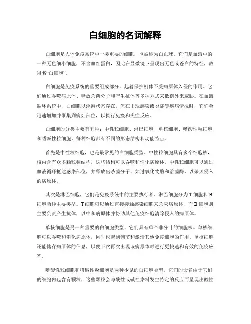 白细胞的名词解释