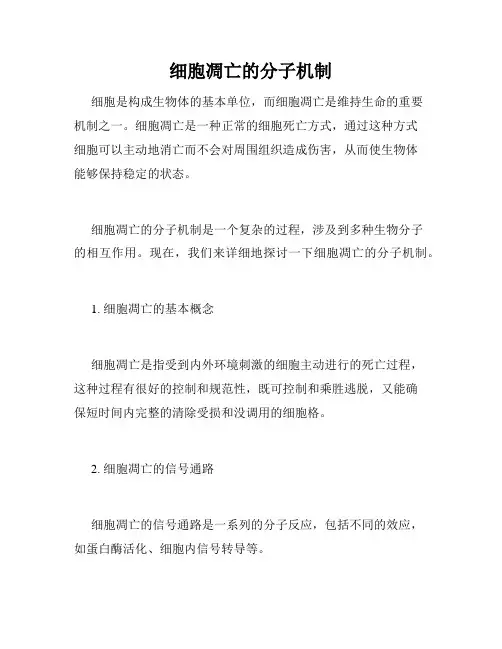 细胞凋亡的分子机制