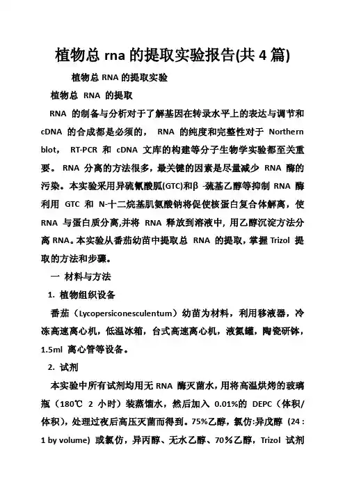 植物总rna的提取实验报告（共4篇）