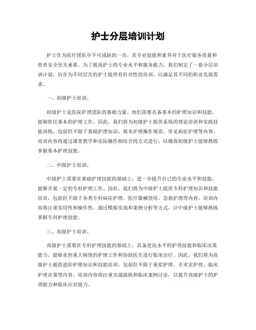 护士分层培训计划