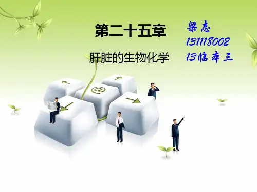 生物化学之肝脏的生化经典版