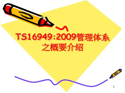 TS169492009管理体系之概要介绍
