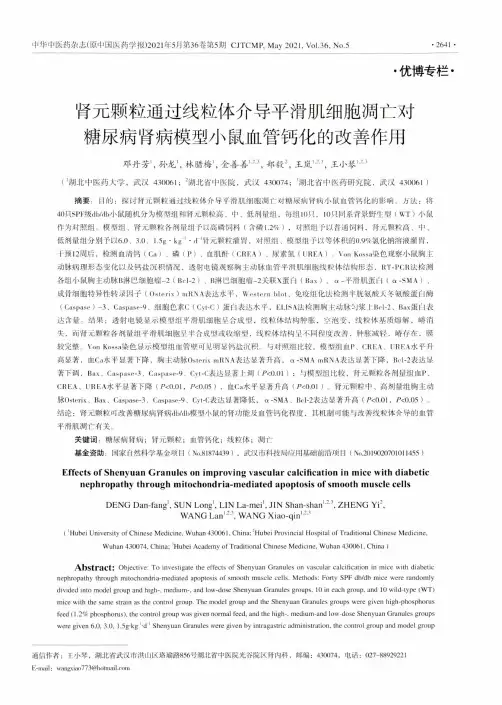 肾元颗粒通过线粒体介导平滑肌细胞凋亡对糖尿病肾病模型小鼠血管钙化的改善作用