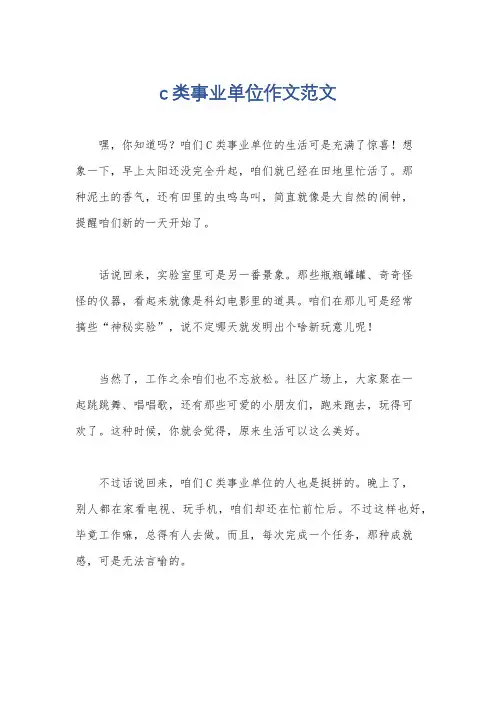 c类事业单位作文范文