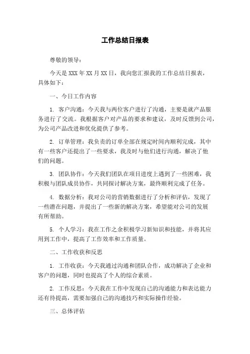 工作总结日报表