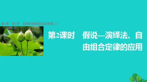 高中生物-1.2.2-假说—演绎法、自由组合定律的应用课件-新人教版必修2