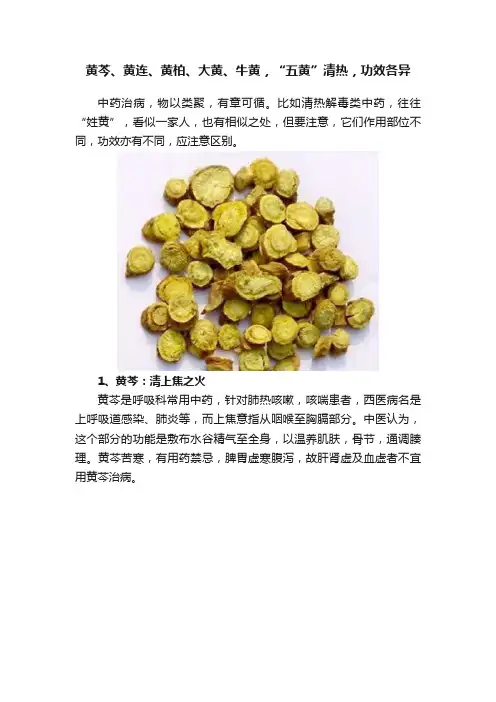 黄芩、黄连、黄柏、大黄、牛黄，“五黄”清热，功效各异