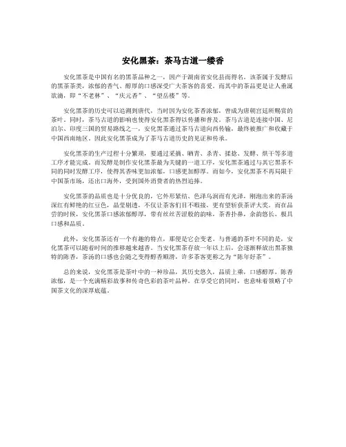 安化黑茶：茶马古道一缕香