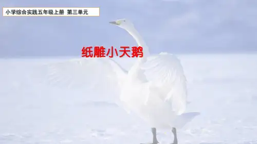 综合实践活动五上第三单元《纸雕小天鹅》课件
