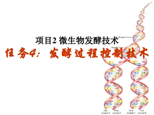 微生物发酵技术-PPT精选文档