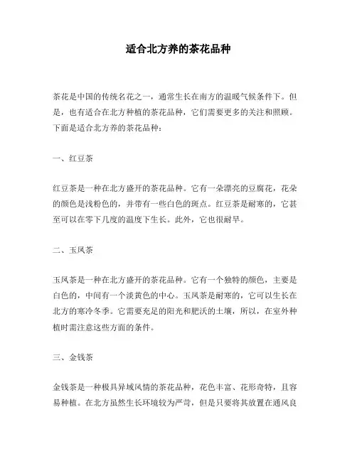 适合北方养的茶花品种