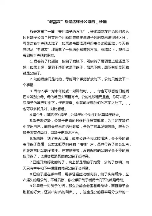 “老鸽友”都是这样分公母的，秒懂