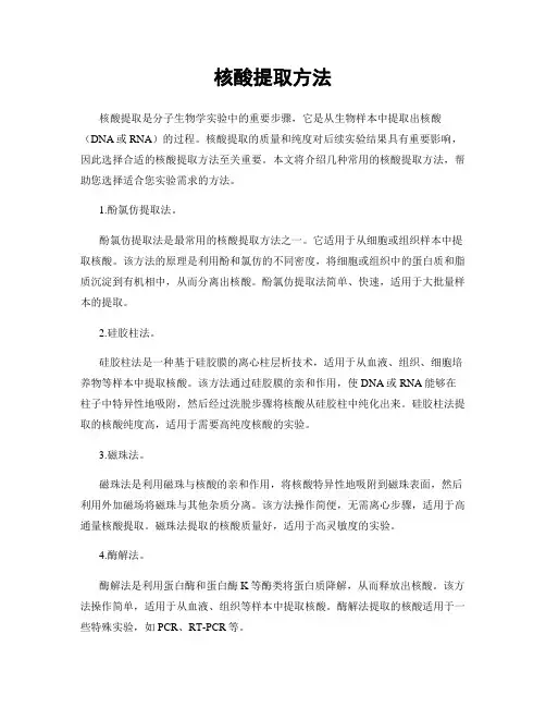 核酸提取方法