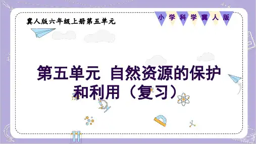 第五单元(复习课件)科学六年级上册(冀人版)